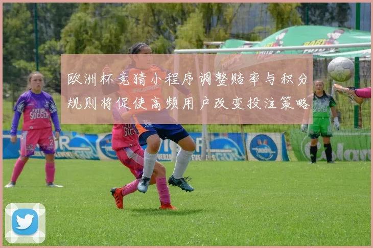 欧洲杯竞猜小程序调整赔率与积分规则将促使高频用户改变投注策略