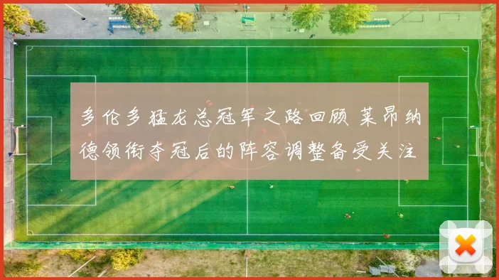 多伦多猛龙总冠军之路回顾 莱昂纳德领衔夺冠后的阵容调整备受关注