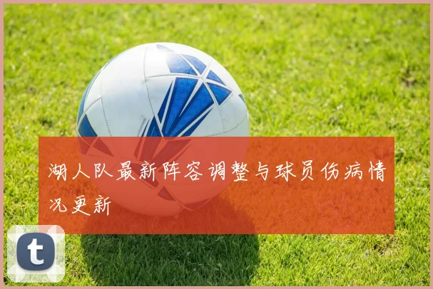 湖人队最新阵容调整与球员伤病情况更新