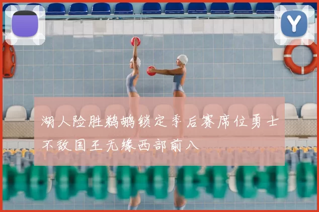 湖人险胜鹈鹕锁定季后赛席位勇士不敌国王无缘西部前八