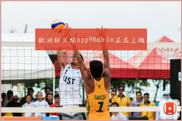 欧洲杯买球app98db in正式上线