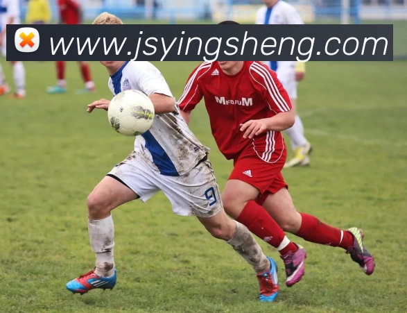 爱体育电竞(中国)有限公司官网品牌故事